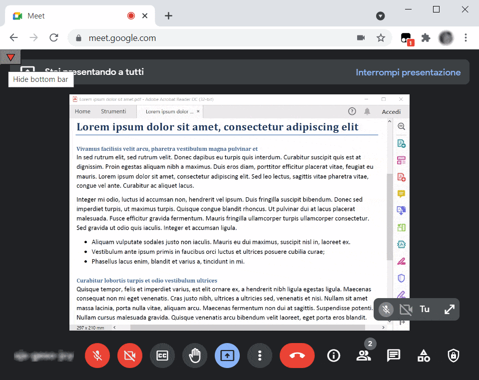 Hide Google Meet bottom bar