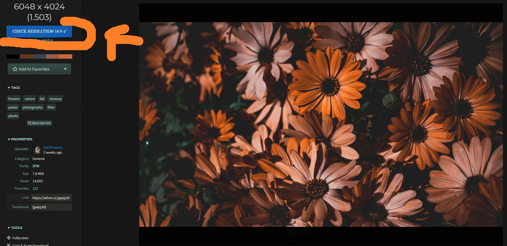 Wallhaven Ratio Check / Fit to Wallpaper 16:9