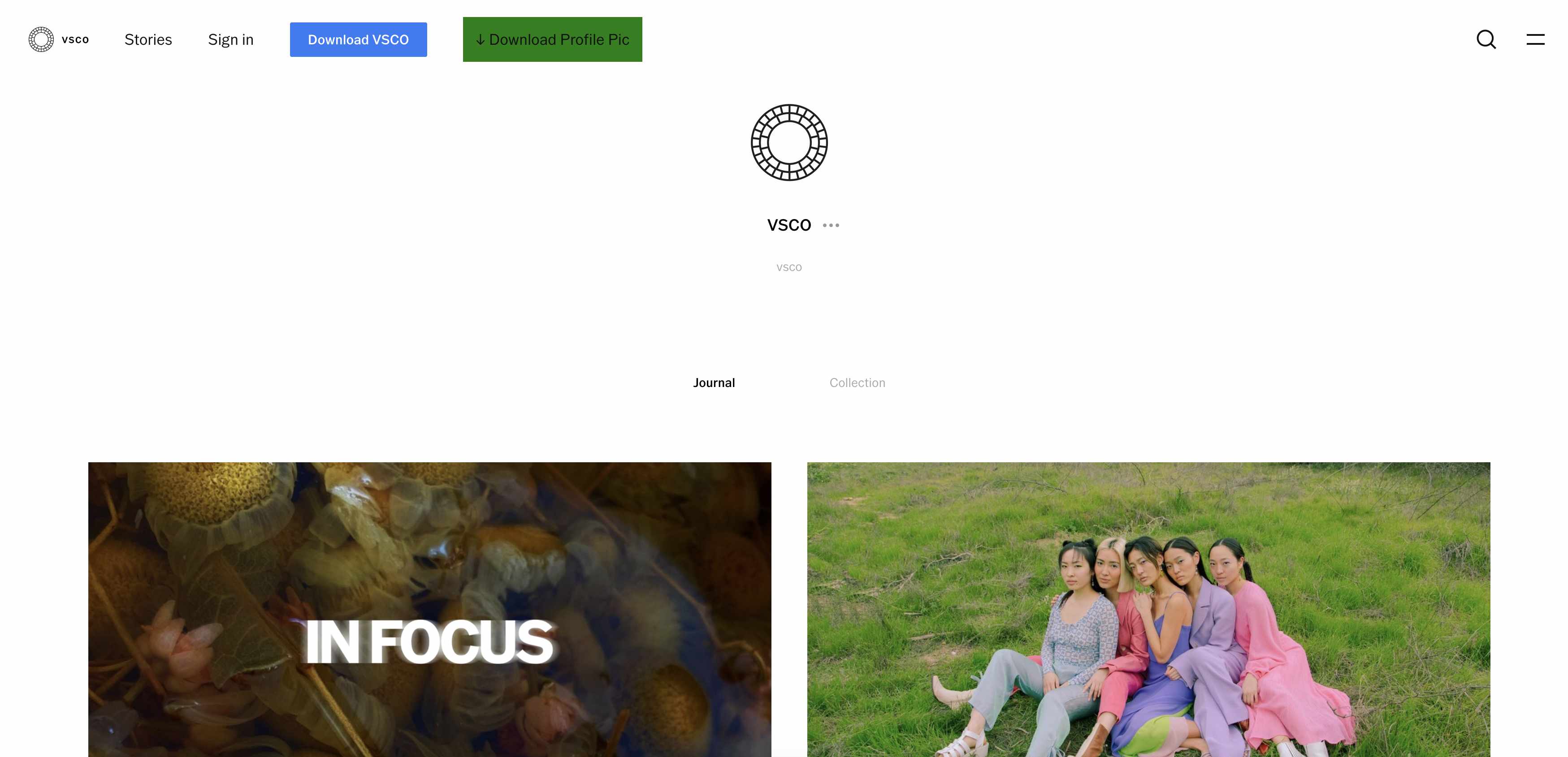 download profile pic - vsco.co