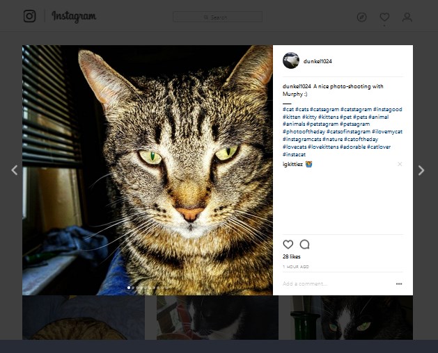 Instagram Keyboard Shortcuts