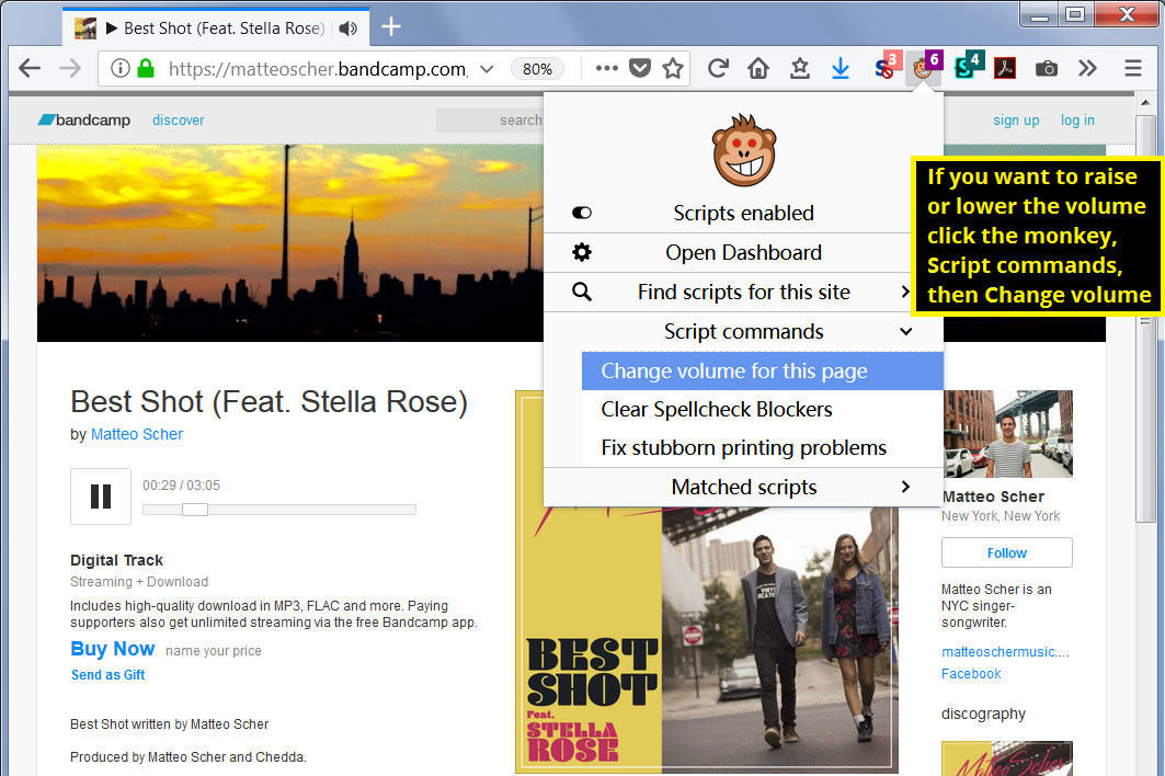 Set HTML5 media player volume Source code