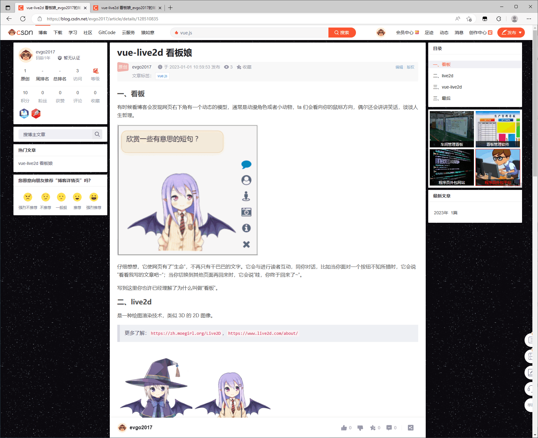 极致净化 CSDN 文章页